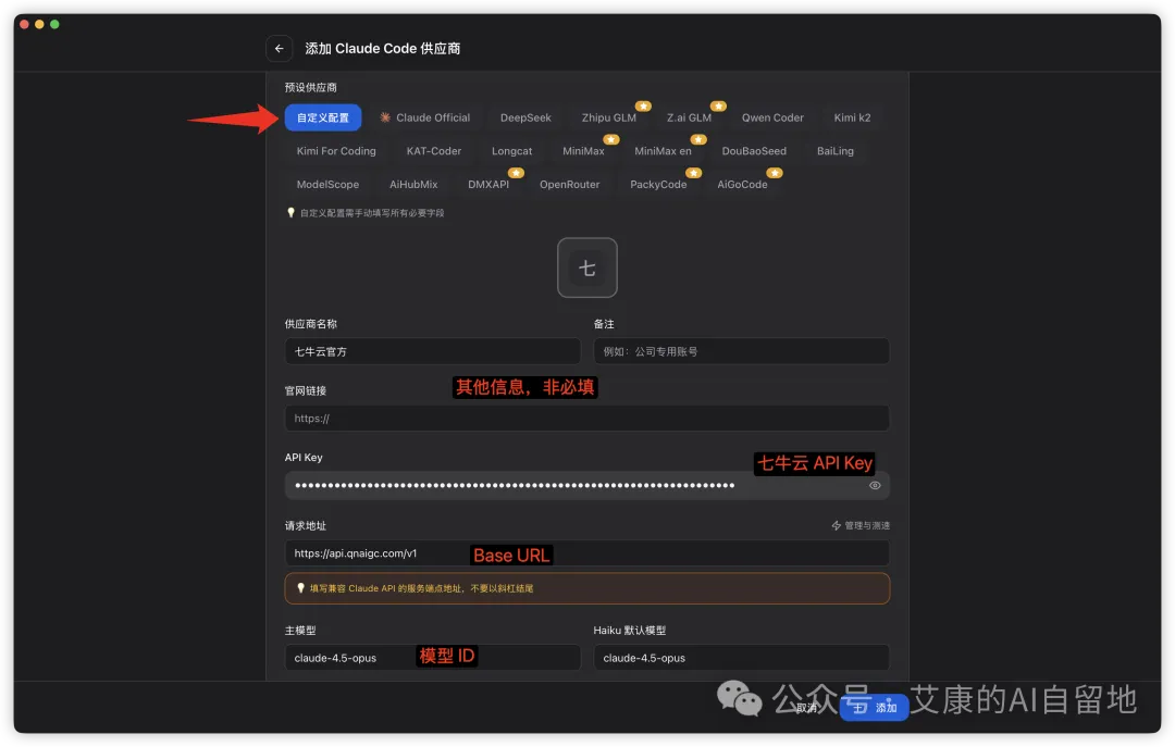 CC Switch 自定义配置的填写项