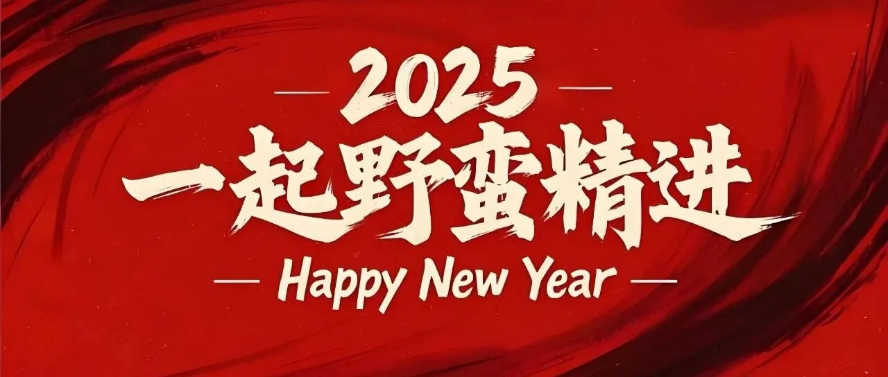红底书法字：2025 一起野蛮精进