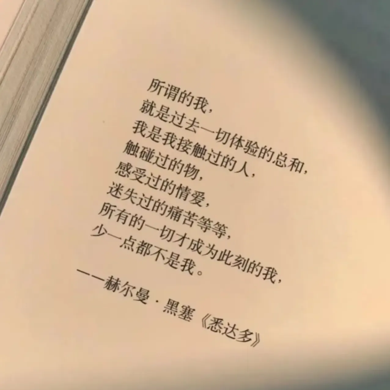 黑塞《悉达多》里「所谓的我」一段